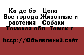 Ка де бо › Цена ­ 25 - Все города Животные и растения » Собаки   . Томская обл.,Томск г.